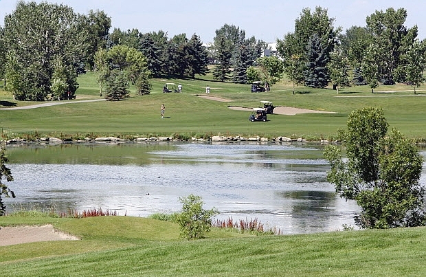 McCall Lake Golf Course City of Calgary Online Survey - Help Save McCall Lake